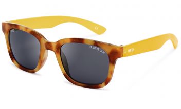 BRINY - calibre 43 -- de...